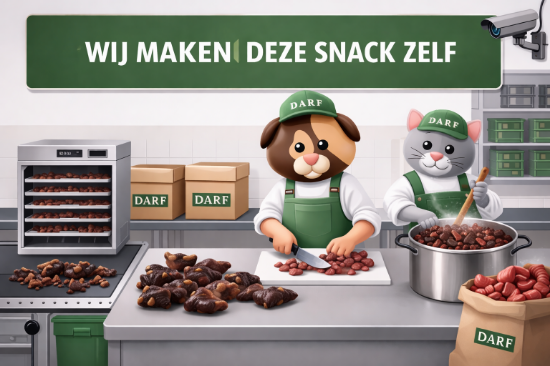 Afbeeldingen van DARF Snacks - Lamslong schijven (ca. 100 gram)